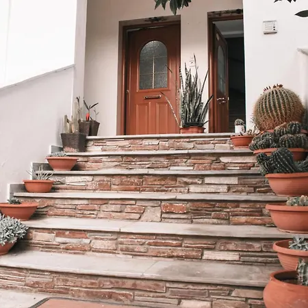 Cactus * Στρατώνι