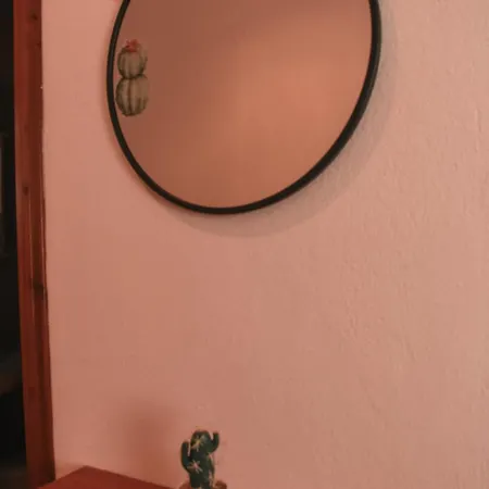 Cactus * Στρατώνι