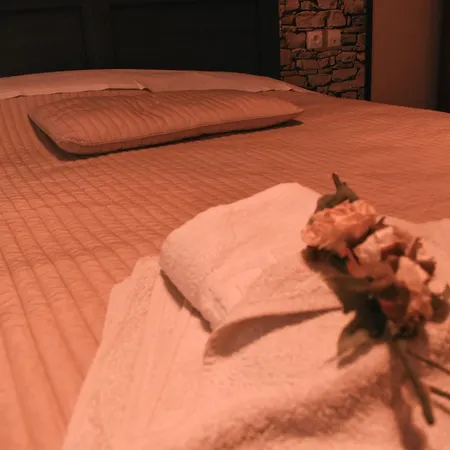 Cactus Apartment