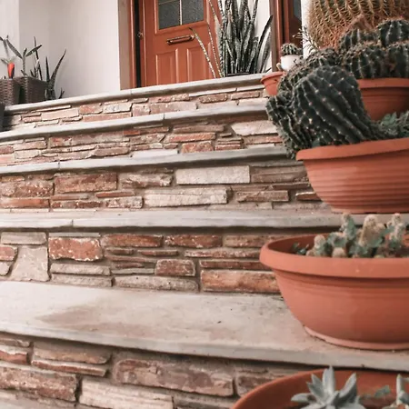 Apartment Cactus